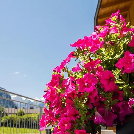 Adler Apartmán Kaprun